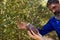 Couple examining olives in farm