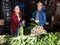 Couple of farmers peeling and sorting freshly harvested green onions