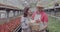 Couple of farmers posing with vegetable basket in greenhouse. Portrait of man and woman hugging and smiling at camera