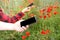 Couple in a field with blooming red poppies surf in mobile phones, show photos, the concept of modern digitalization of society,