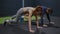 Couple, fitness and gym workout of training friends together for a core strength exercise for abs. Strong, sports and