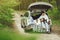 Couple in a forest sitting in a trunk