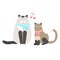 Couple of funny cats in love, pets vector illustration isolated. Siamese cats.