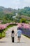 Couple in a Garden with flowers in the mountains of Phetchabun Kha Kho Thailand