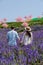 Couple in a Garden with flowers in the mountains of Phetchabun Kha Kho Thailand