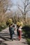 Couple of gardeners carrying flowering shrubs