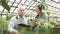 Couple of gardeners checking and keeping records of plants in greenhouse. Agriculture, farming and gardening.