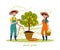 Couple of gardeners are working in the garden. Man with garden hose watering lemon tree, a woman picking fruits in a basket