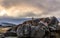 Couple of gentoo pengins hiding in the rocks with glacier in the