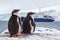 Couple Gentoo Penguins at the background of ship, Antarctica