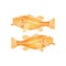 A couple of gold fishes, Small animals underwater isolated on white. Small life in the sea pattern. Environment of ocean