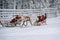 Couple greeting spectators during race on the reindeer sledges