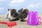 Couple of guinea pig playing in the sand