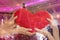 Couple hands holding red heart together on blurred image traditional wedding background. Love and romance on Valentine`s day