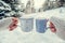 Couple hands in mittens take a mugs with hot tea in winter fores