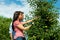 Couple harvesting apples in summer