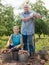 Couple harvesting potatoes