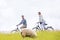 Couple having sea coast bicycle tour at levee