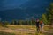 Couple hikers with backpacks holding hands, walking in the mountains