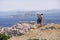 Couple Hikers Looking At Great Seascape