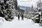 Couple hikers trekking in winter woods