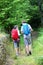 Couple of hikers walking in forest path