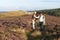 Couple Hiking Across Moorland Covered With Heather