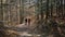 Couple hiking in the forest footpath in autumn