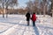 Couple holding each other\'s hands going through the park in the winter