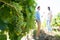 Couple holding hands by grapes growing on plant