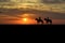 A couple on a horse riders at sunset