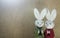 Couple Japanese rabbits and wood background