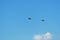 Couple of JAS 39 Gripen, a jet fighter plane in sky