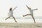 Couple Jumping on Beach