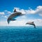 Couple of jumping dolphins