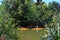 Couple kayaking over Matakana river New Zealand