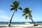 couple leaning coconut tree of Panglao island on bright sunny blue sky day with white beach