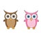 Couple little cute cartoon owls man and woman characters