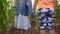 Couple of little kids standing at maize meadow and taking each other hands. Small blonde girl and red-haired boy holding