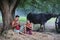 Couple love of Asian Young man and women sitting under tree against buffalo and natural background