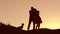 Couple in love dancing silhouette at sunset and kissing. Loving man and woman with dog dancing silhouette nature slow