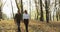 Couple in love having pleasant walk in autumn park, rejoicing and holding hands