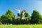 Couple in love jumping in park