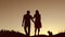 Couple in love kiss walking sunset on silhouette nature slow motion video. Man and woman silhouette of love walk with a