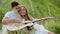 Couple In Love On Nature, Man Teaching Woman Playing In Guitar