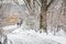 Couple in love walking by the river in the snow