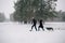 Couple in love walking with their Husky dog