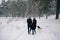 Couple in love walks with Husky dog in winter day
