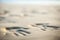 Couple of lovers at a beautiful sunset over the ocean. Couple on a romantic vacation. Imprint pair of hands in the sand, wedding r