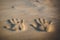 Couple of lovers at a beautiful sunset over the ocean. Couple on a romantic vacation. Imprint pair of hands in the sand, wedding r